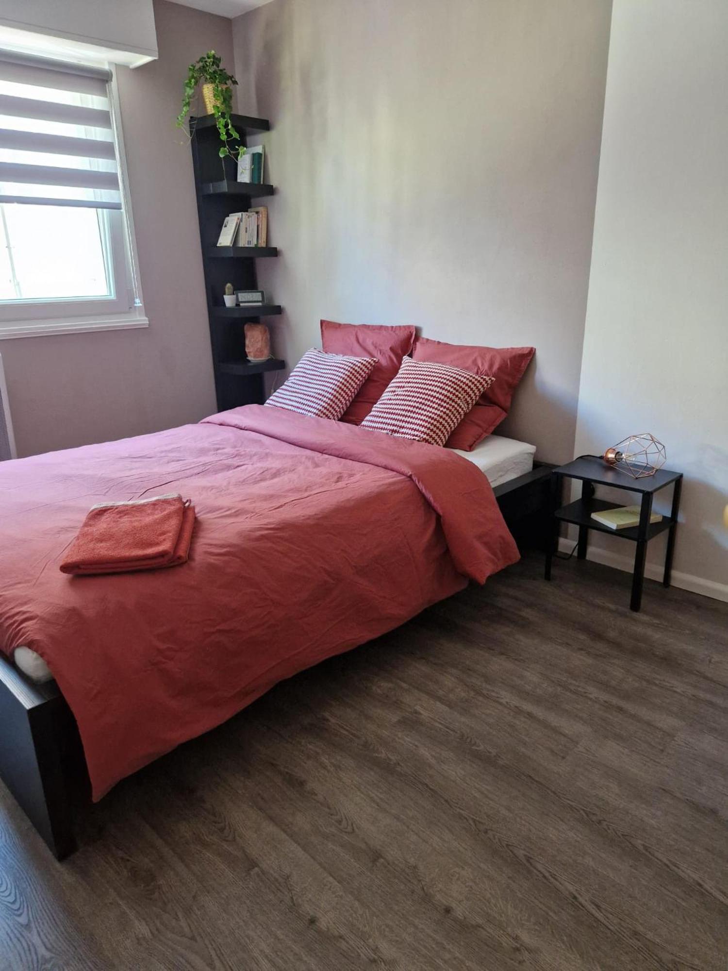 Robertsau Tres Bel Apartment